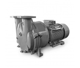 Liquid ring pumps